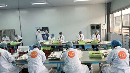攜手阿里，智造未來 裕鑫博康借力淘工廠加速產業數字化升級